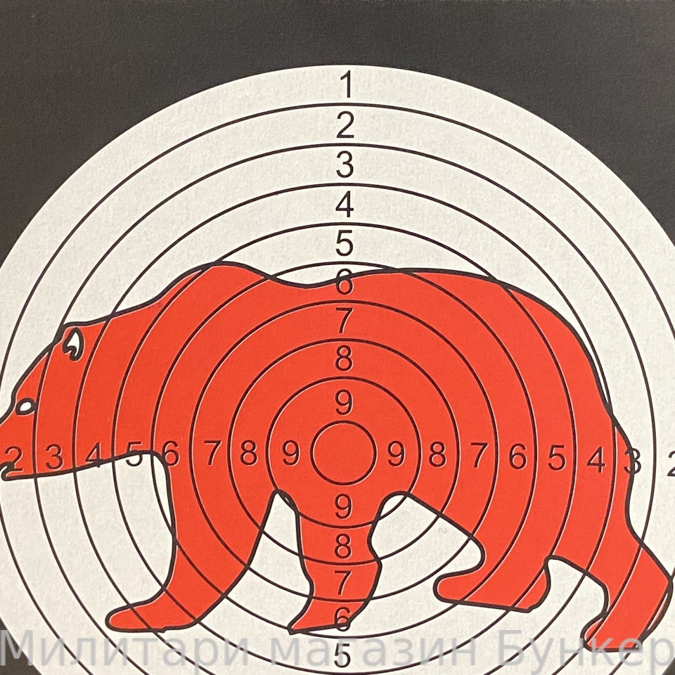 Мишень для спортивной стрельбы